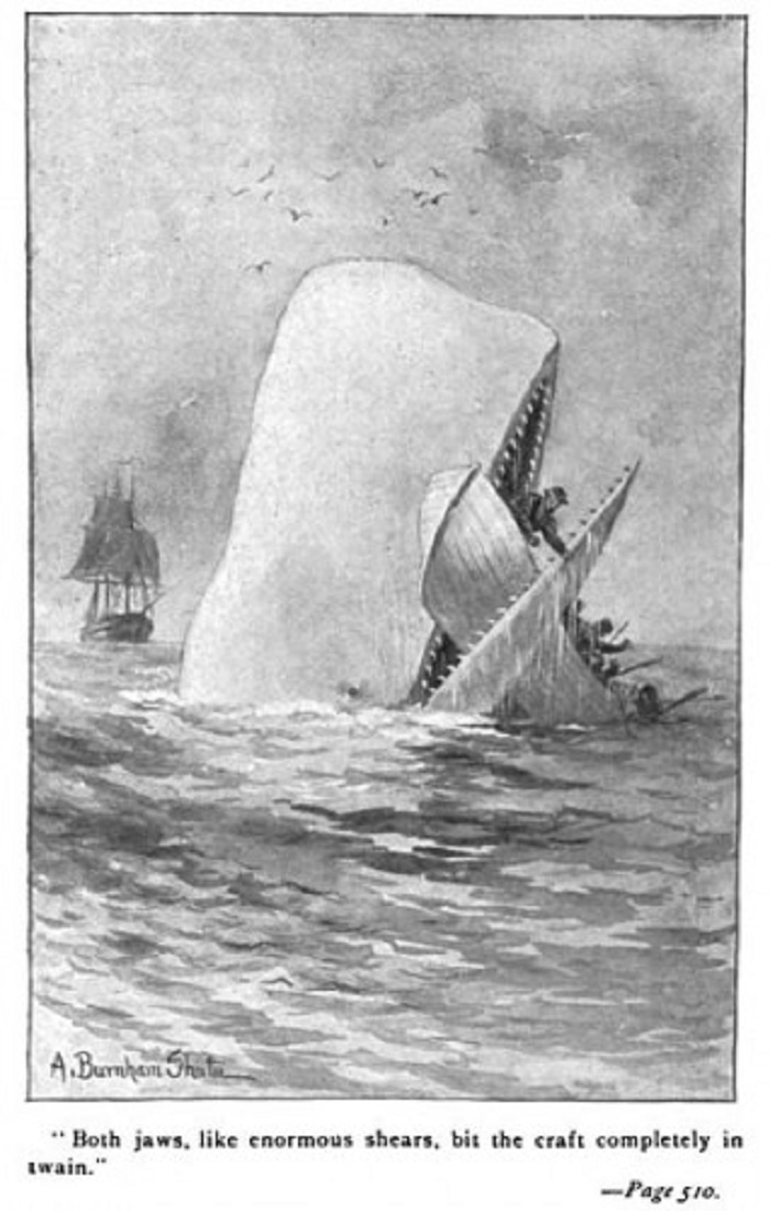 Photo Credit: http://www.travelthruhistory.tv/the-essex-whale-moby-dick/